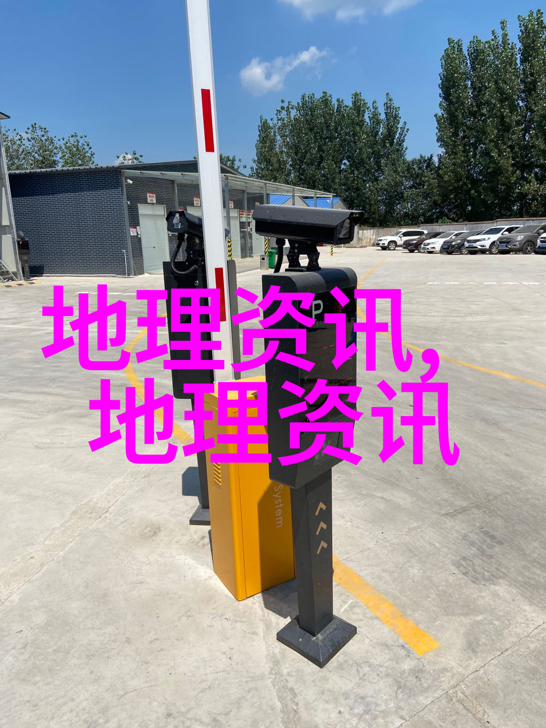 花粉季更难熬了专家或与全球变暖有关